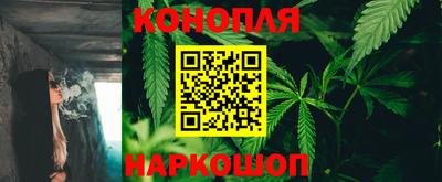 гашик Пыть-Ях