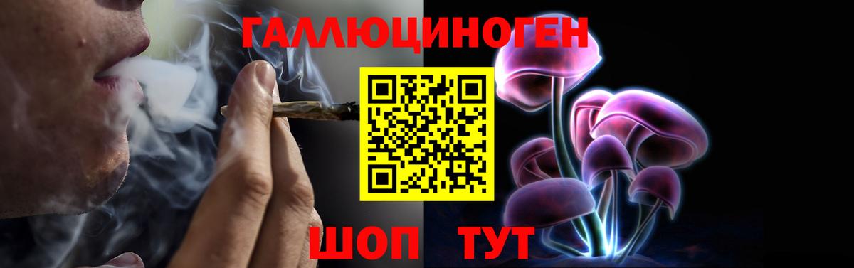 Галлюциногенные грибы Cubensis Артём