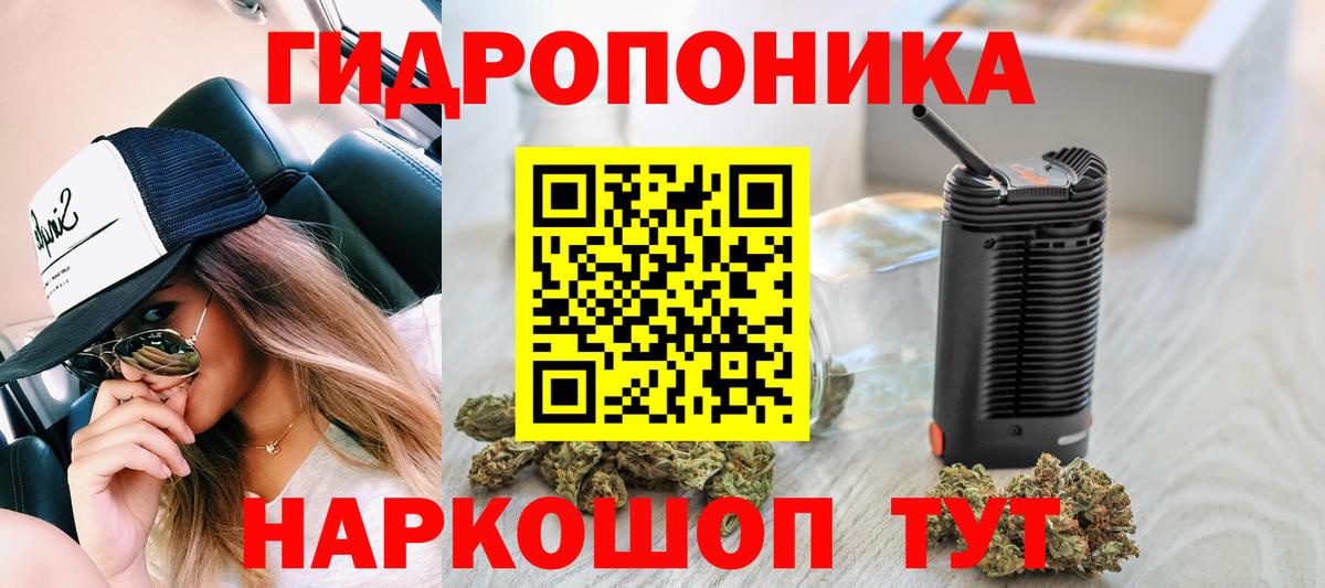 Бошки марихуана конопля  Конопля семена  Вход с VPN  Артём 